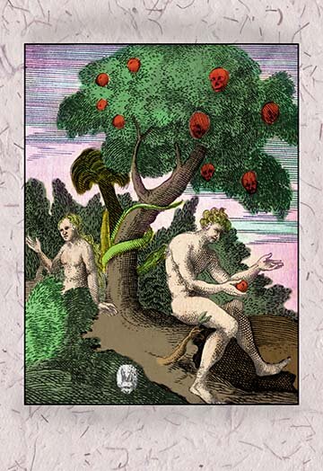 Adam And Eve - Picture Frame Graphic Art